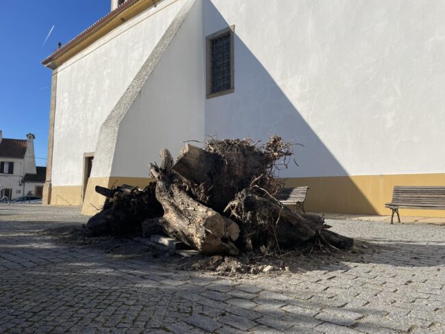 471499039_1003179975181270_6305724824659853235_n