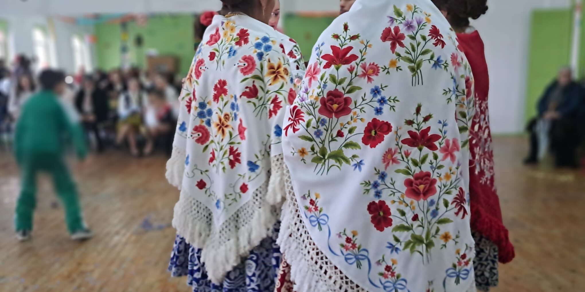 carnaval alpalhoeiro5