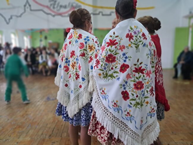 carnaval alpalhoeiro5