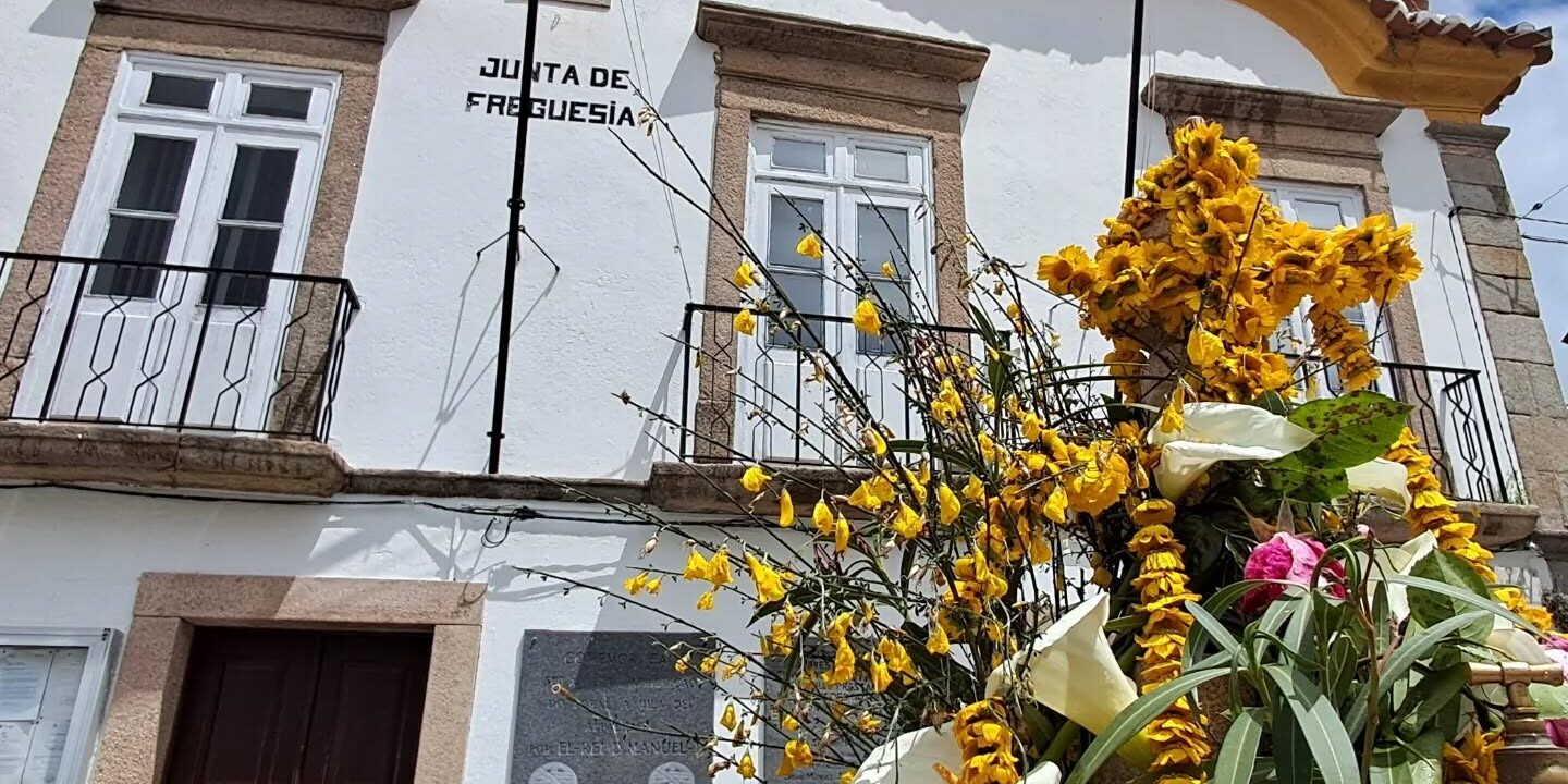 495058134_18008781527741501_6074958282406317519_n